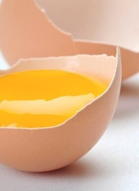 oeuf1