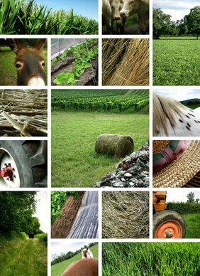agriculture