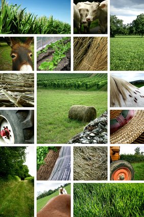 Stress des agriculteurs : une association leur vient en aide