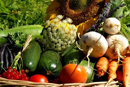 L’effet anti-stress du jardinage…