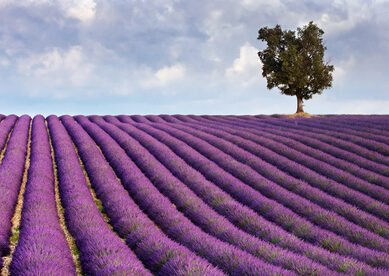 Fotolia_5101638_XS