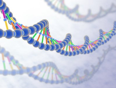 Le stress influe sur l’expression de certains de nos gènes !