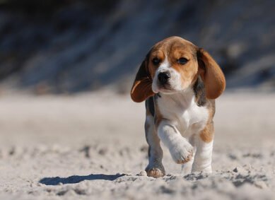 Fotolia_2997344_XS