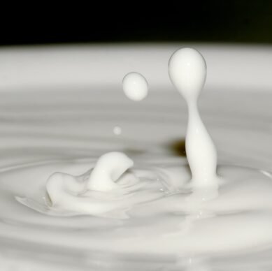Lait