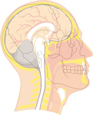 Fotolia_7513419_XS