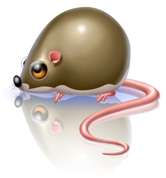 Fotolia_17924142_XS