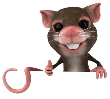 Souris-2