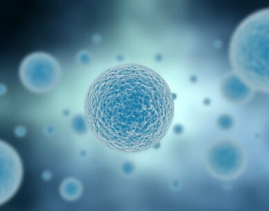 Virus-de-la-Grippe