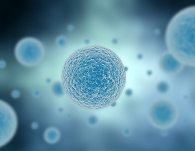 Infection virale, stress et schizophrénie…