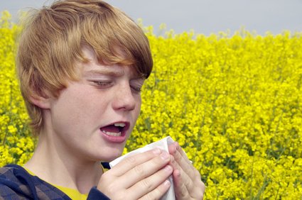 Le stress aggrave les réactions allergiques