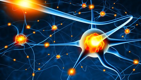 Une récente étude illustre de nouveaux liens entre le stress et la motivation…