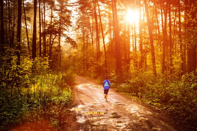 Atlantico : “Pourquoi vivre près des arbres est le meilleur moyen de lutter contre la dépression”