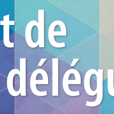 L'art de déléguer - Jean-Ange Lallican