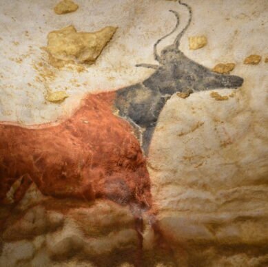 VACHE A TETE NOIRE GROTTE DE LASCAUX II PÉRIGORD NOIR DORDOGNE FRANCE