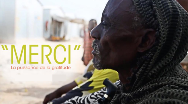 La gratitude et les encouragements, apaisent, protègent et aident à persévérer…